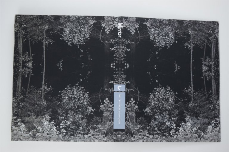 Packaging photo for Mirror
