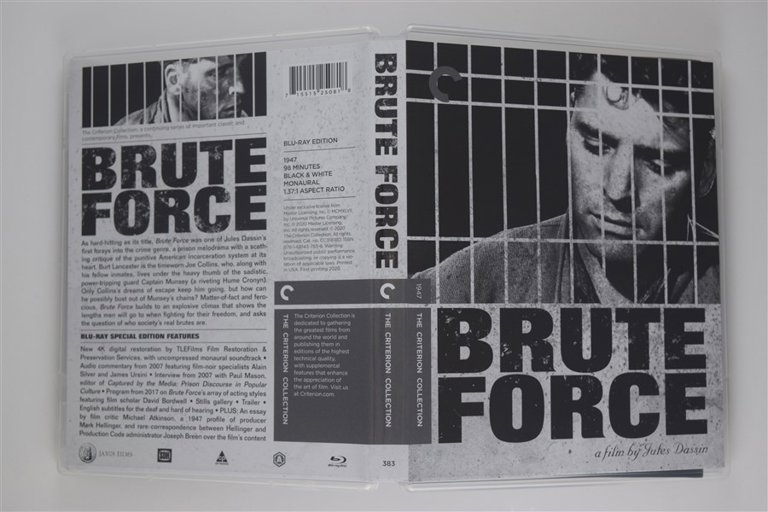 Packaging photo for Brute Force