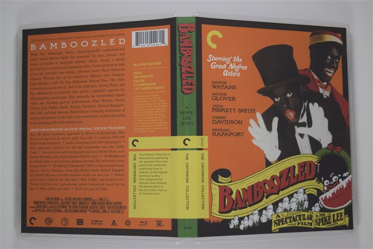 Packaging photo for Bamboozled