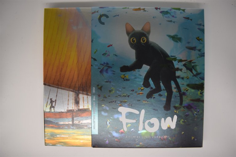 Packaging photo for Flow