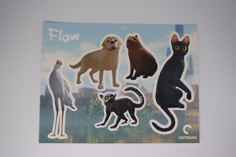 Packaging photo for Flow