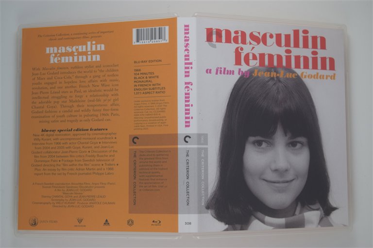 Packaging photo for Masculin féminin