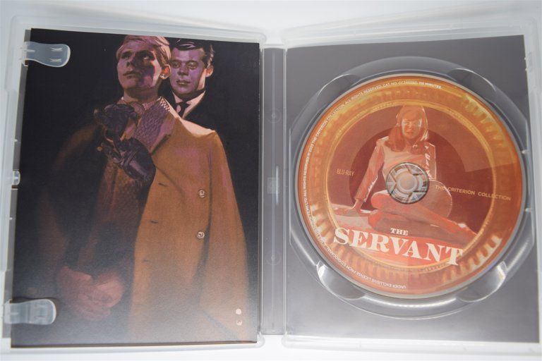 Packaging photo for The Servant