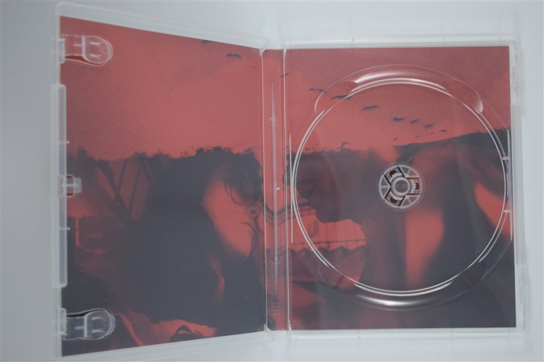 Packaging photo for The Cranes are Flying
