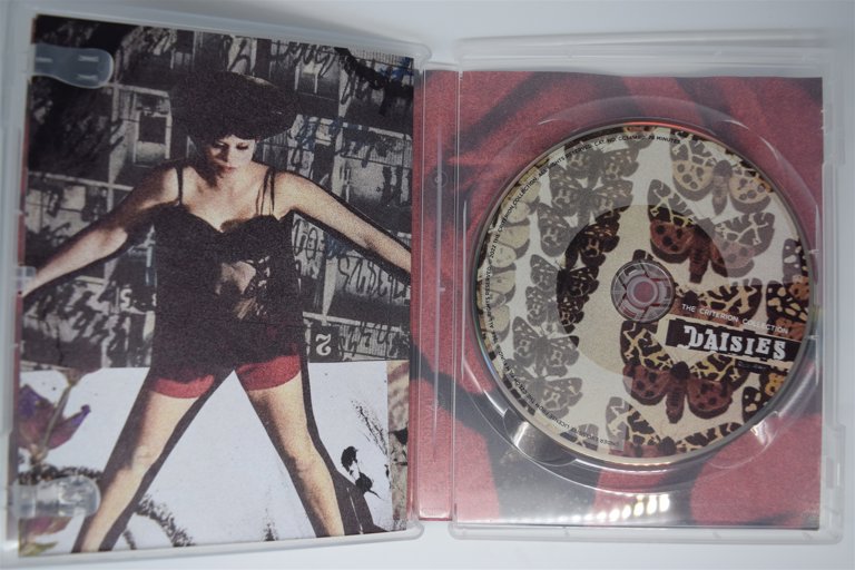 Packaging photo for Daisies