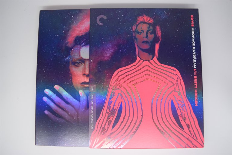 Packaging photo for Moonage Daydream