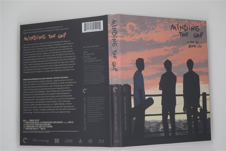 Packaging photo for Minding the Gap