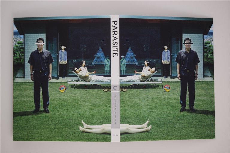 Packaging photo for Parasite