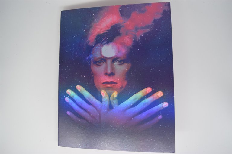 Packaging photo for Moonage Daydream