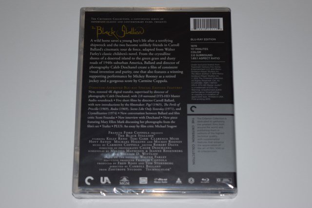 Packaging photo for The Black Stallion
