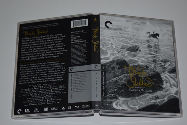 Packaging photo for The Black Stallion
