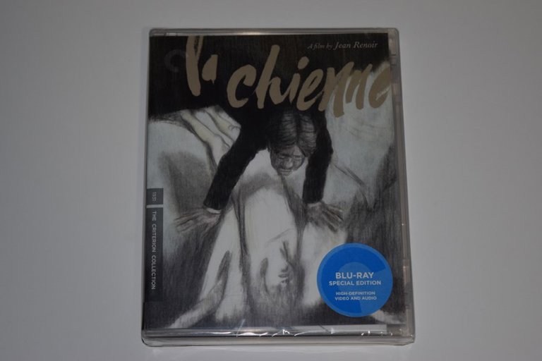 Packaging photo for La chienne