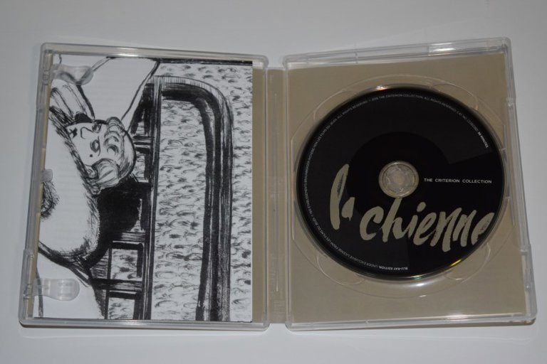 Packaging photo for La chienne
