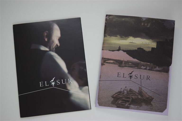 Packaging photo for El Sur