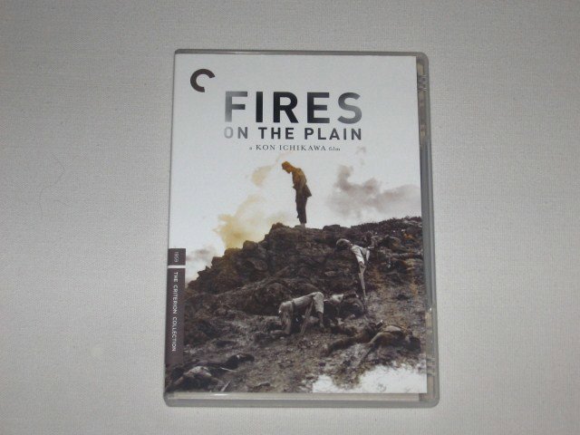 Packaging photo for Fires on the Plain