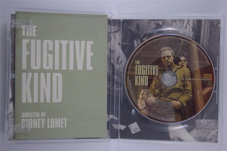 Packaging photo for The Fugitive Kind