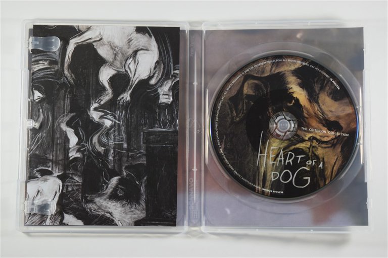 Packaging photo for Heart of a Dog
