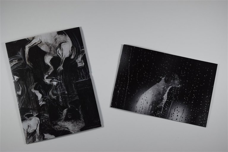 Packaging photo for Heart of a Dog