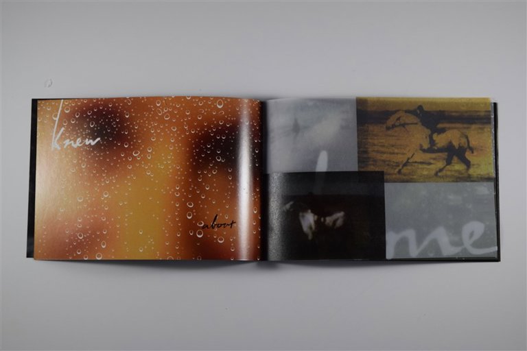 Packaging photo for Heart of a Dog