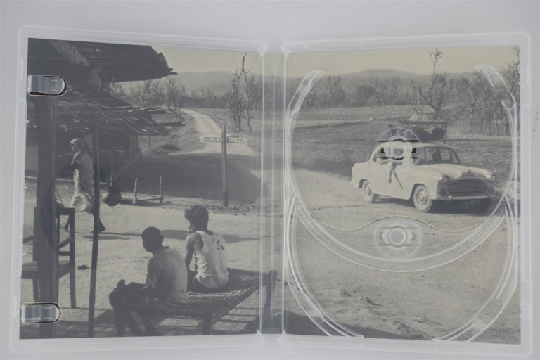 Packaging photo for Days and Nights in the Forest