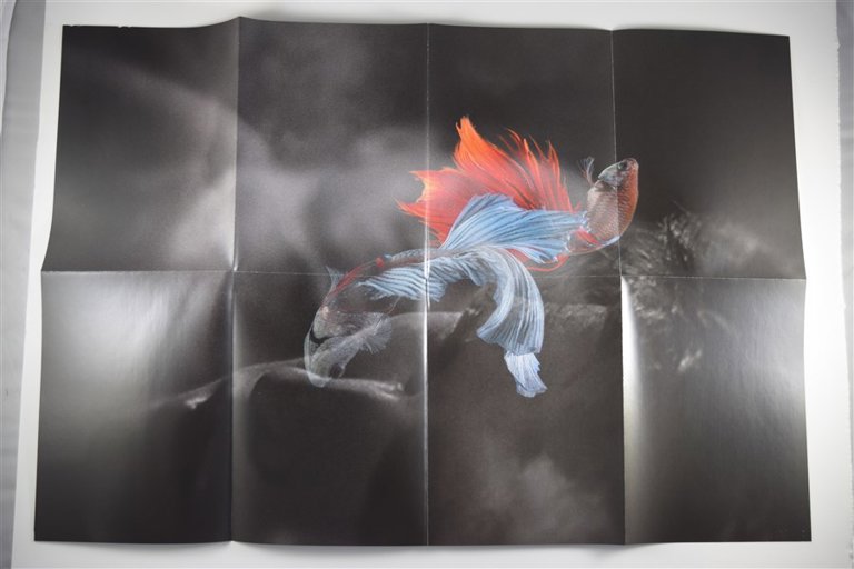 Packaging photo for Rumble Fish