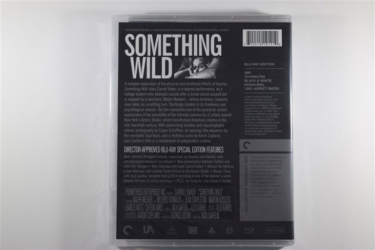 Packaging photo for Something Wild