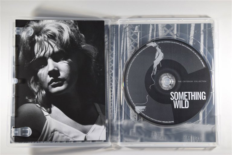 Packaging photo for Something Wild
