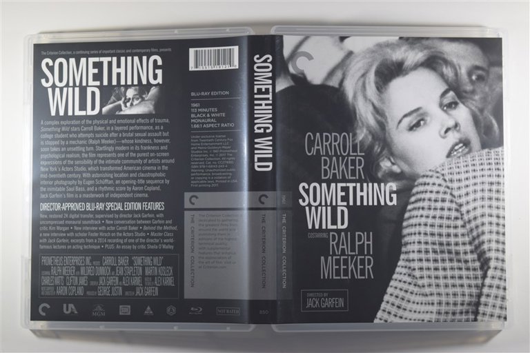 Packaging photo for Something Wild