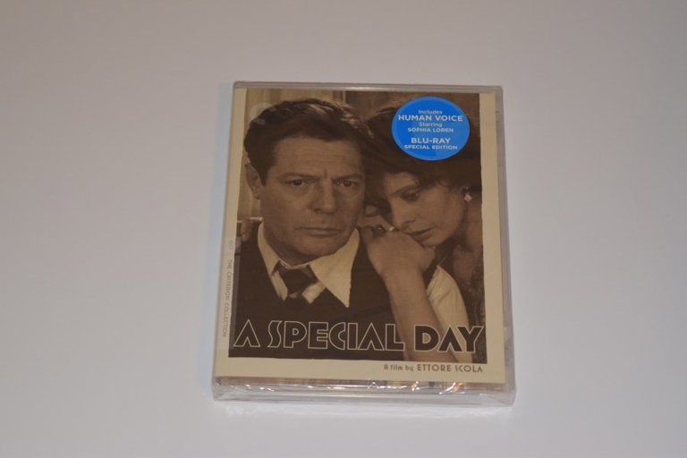 Packaging photo for A Special Day