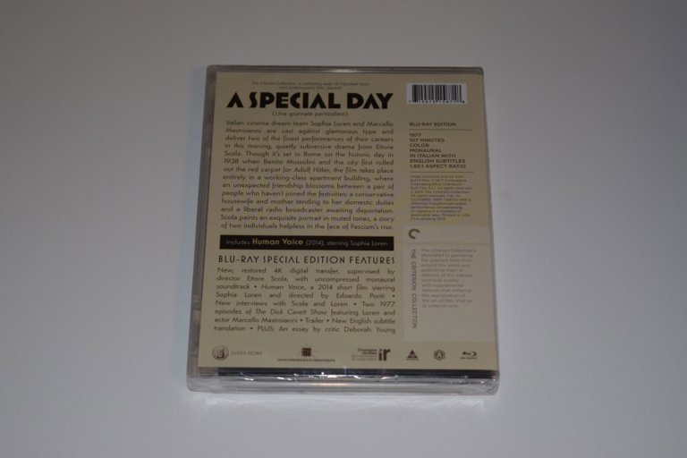 Packaging photo for A Special Day