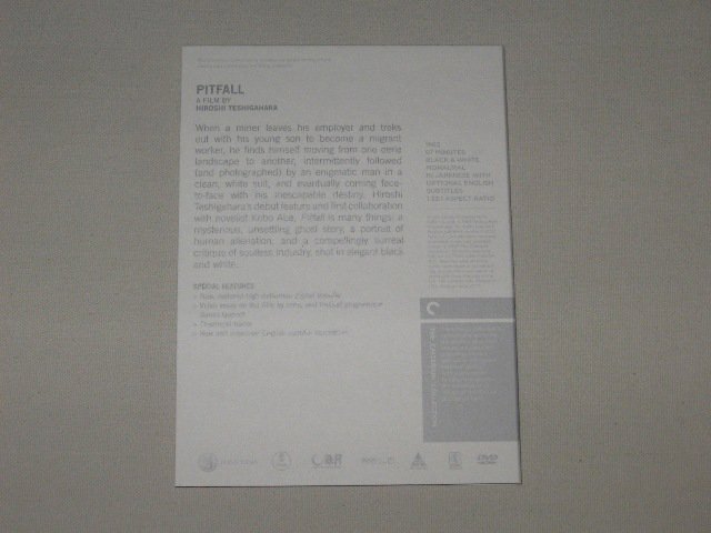 Packaging photo for Pitfall