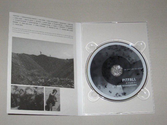 Packaging photo for Pitfall