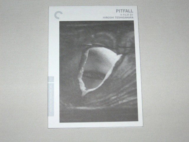 Packaging photo for Pitfall
