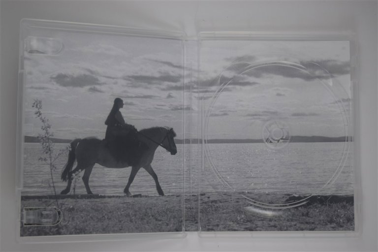 Packaging photo for The Virgin Spring