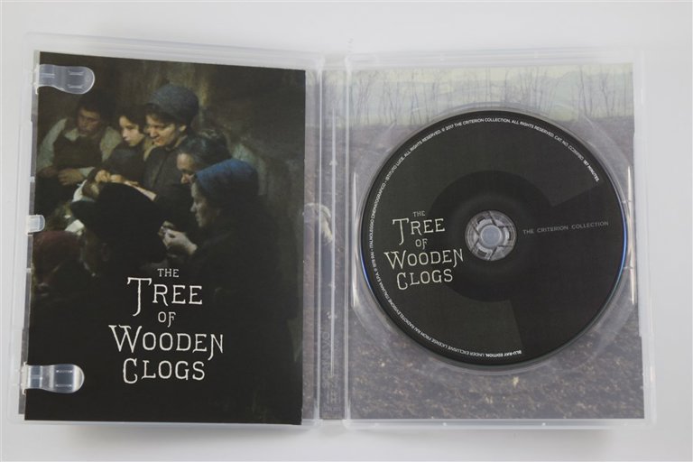 Packaging photo for The Tree of Wooden Clogs