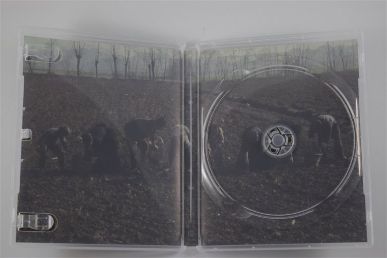 Packaging photo for The Tree of Wooden Clogs
